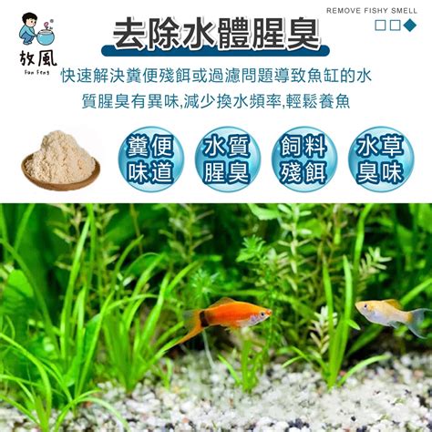 魚缸臭水溝味